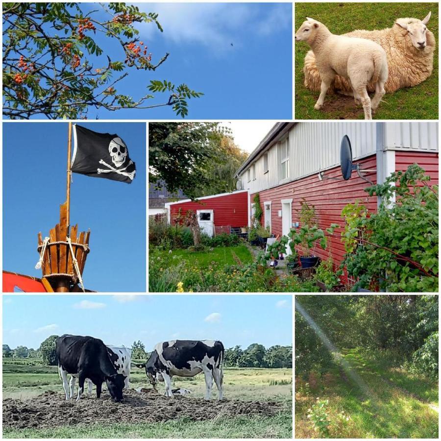 Piratennest Nord * Bordelum